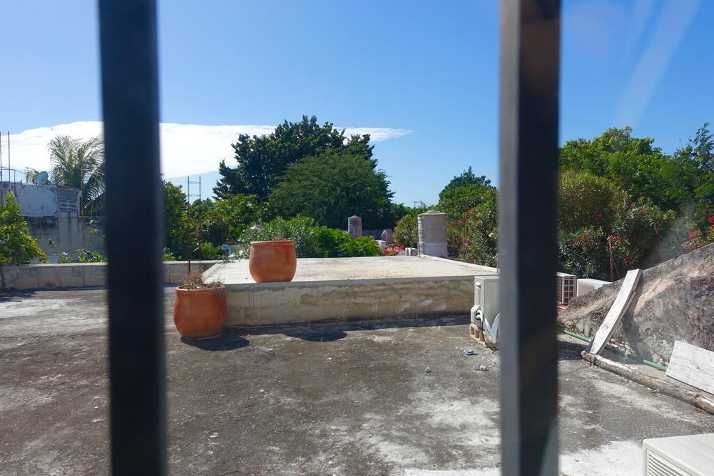 Hotel Aries Y Libra Mérida Dış mekan fotoğraf